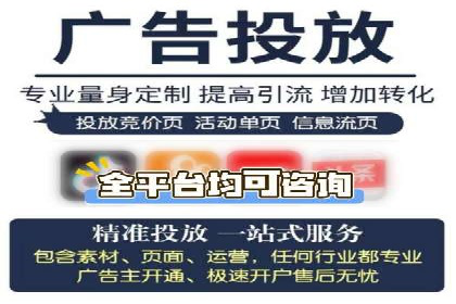 SEM推广案例：从无到有的转变